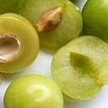 photo of greengage plum